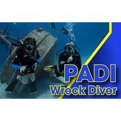 Wreck Diver
